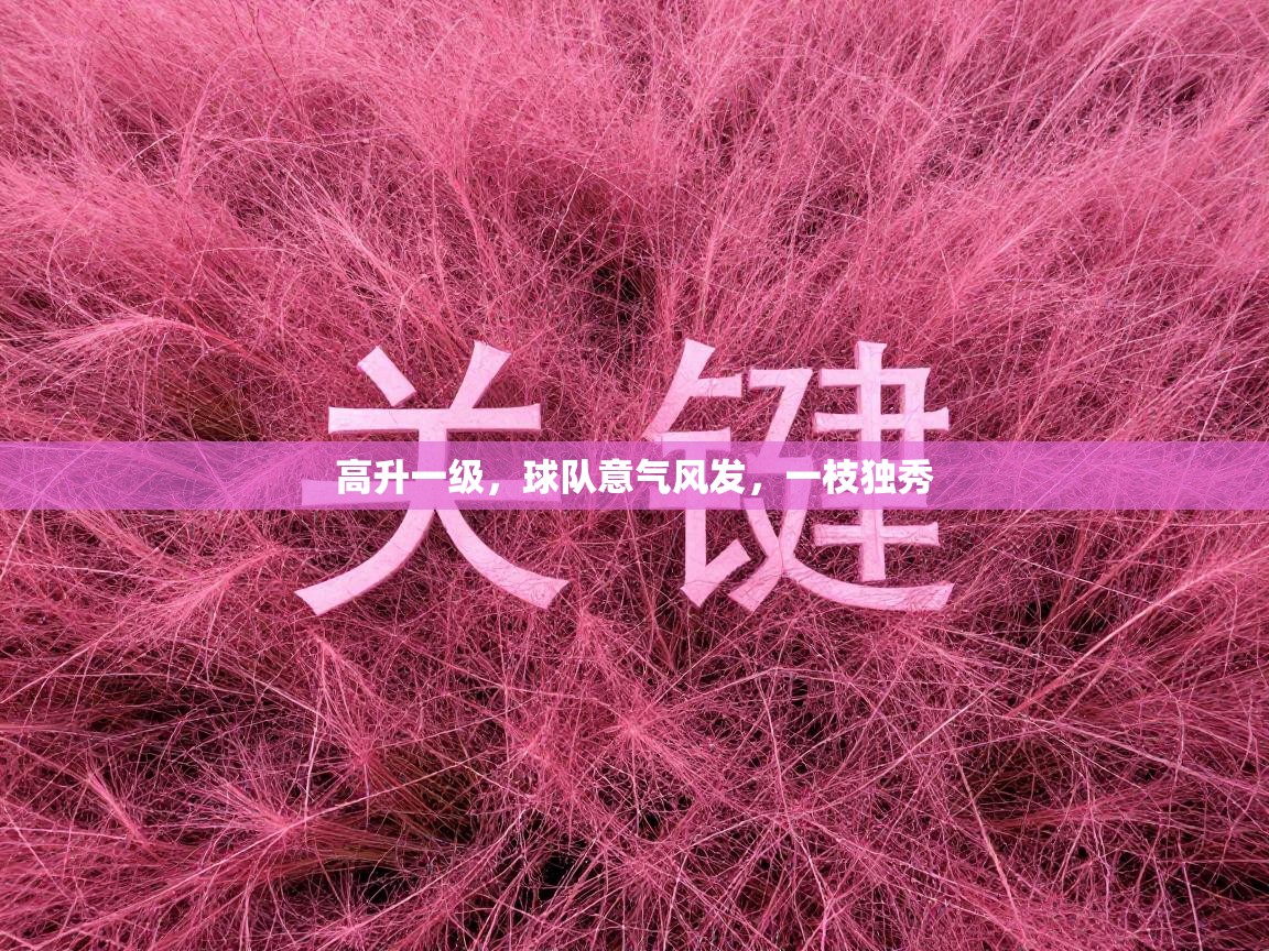 高升一级，球队意气风发，一枝独秀  第2张