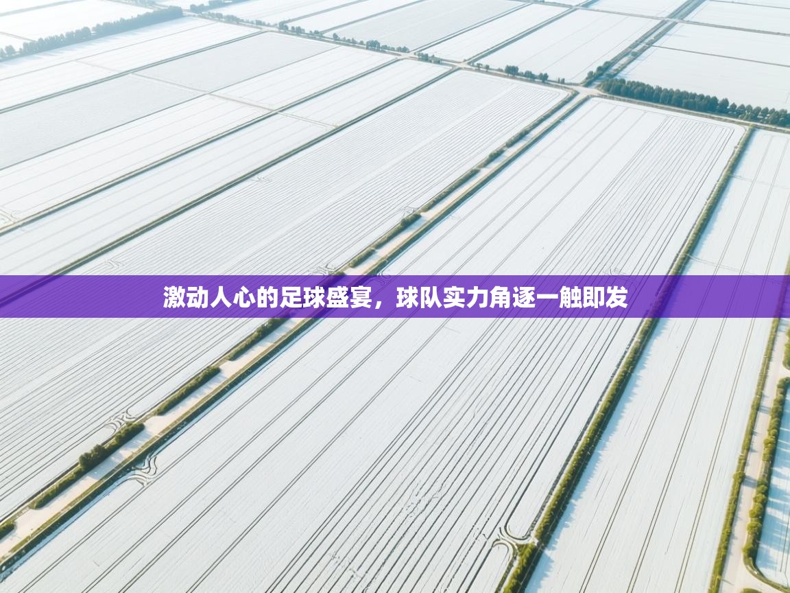 激动人心的足球盛宴，球队实力角逐一触即发  第1张