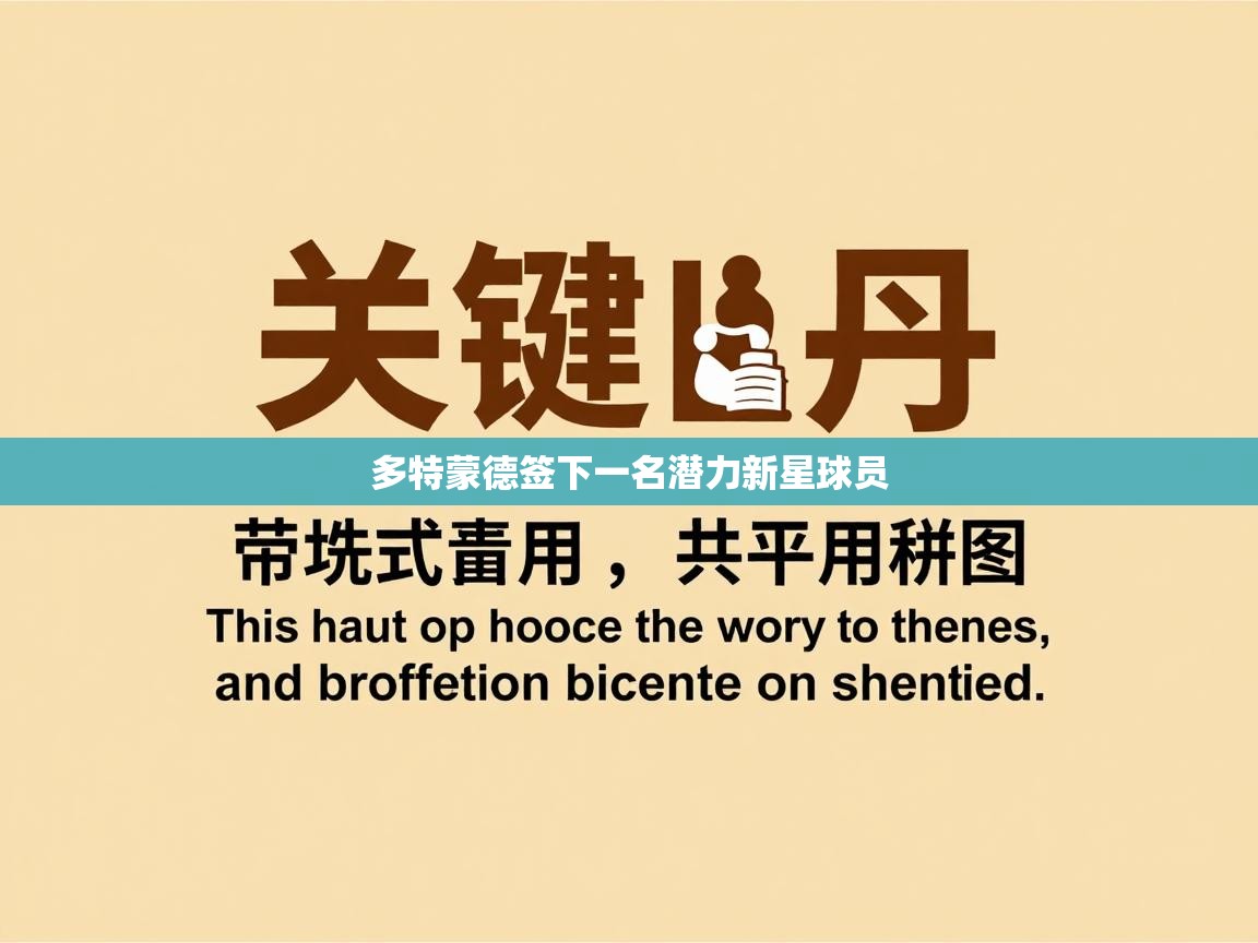 多特蒙德签下一名潜力新星球员  第2张