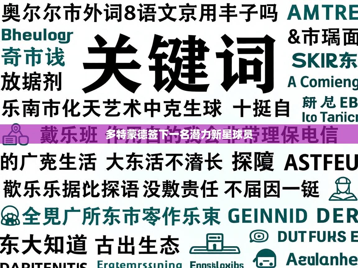 多特蒙德签下一名潜力新星球员  第1张