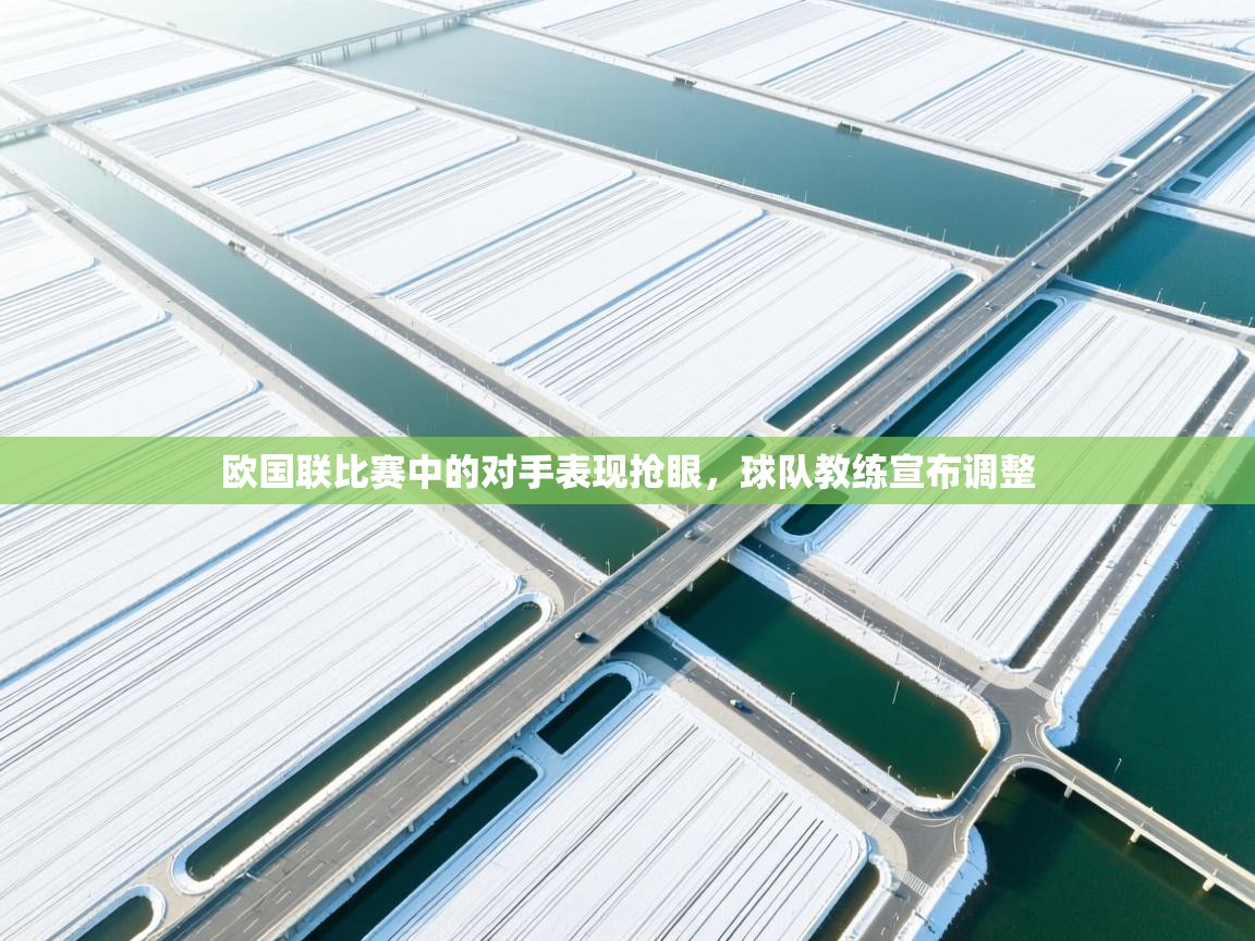 欧国联比赛中的对手表现抢眼，球队教练宣布调整  第2张